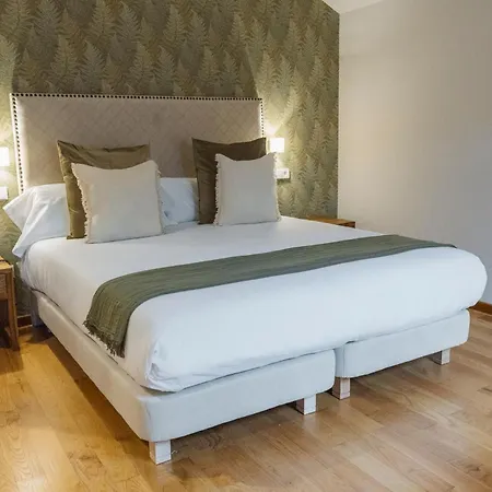 Hotel Palacio De Arriba 4*